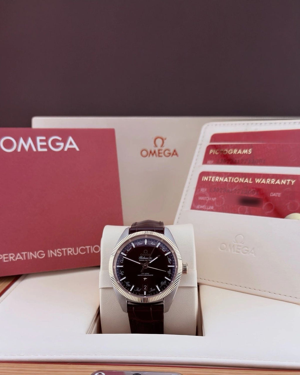 Omega 130.23.41.22.11.001