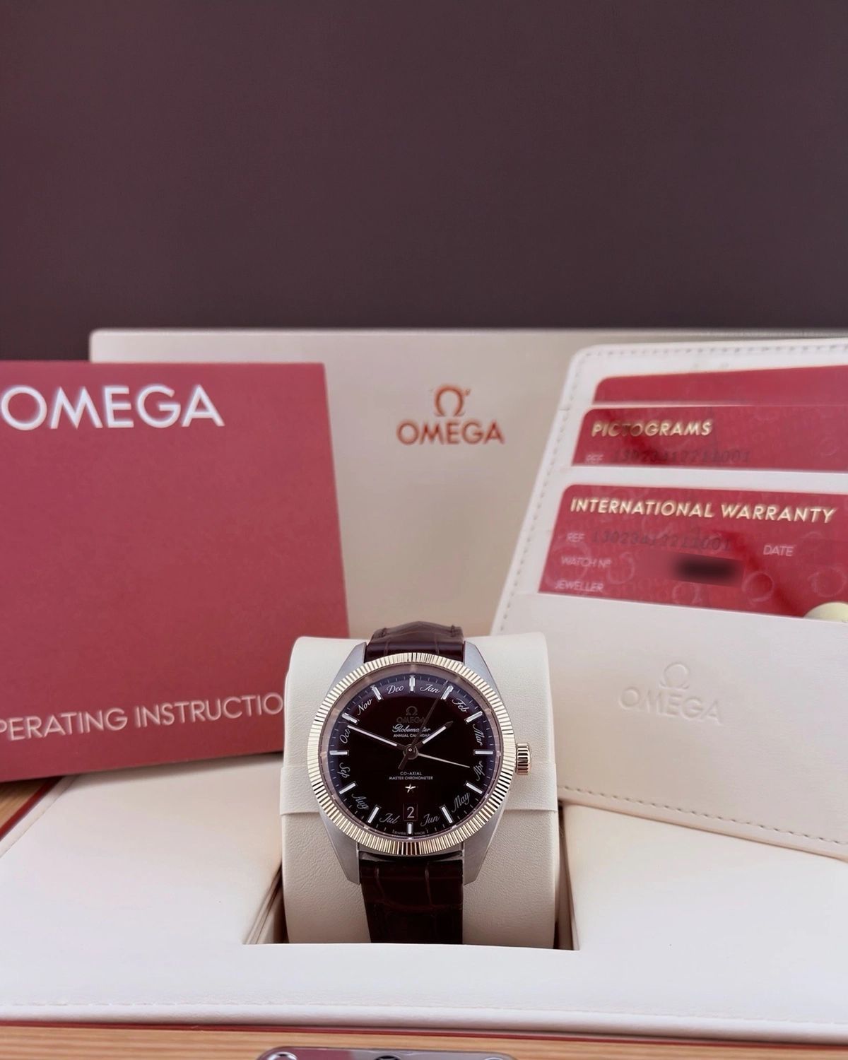 Omega 130.23.41.22.11.001