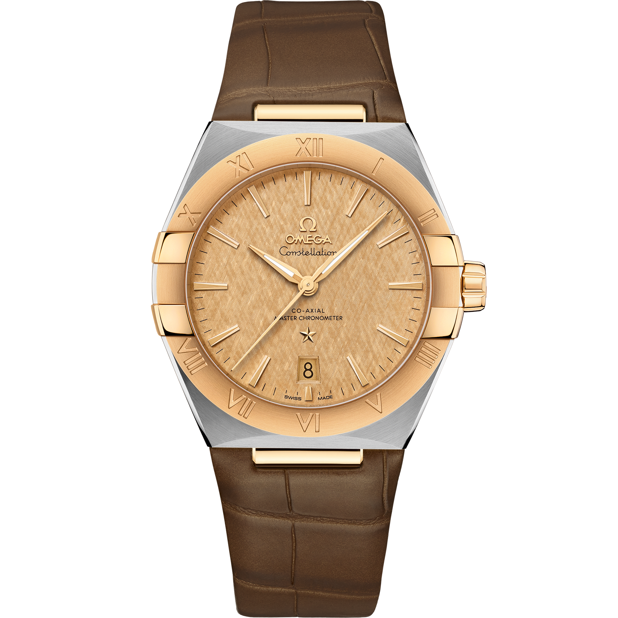Omega 131.23.39.20.08.001