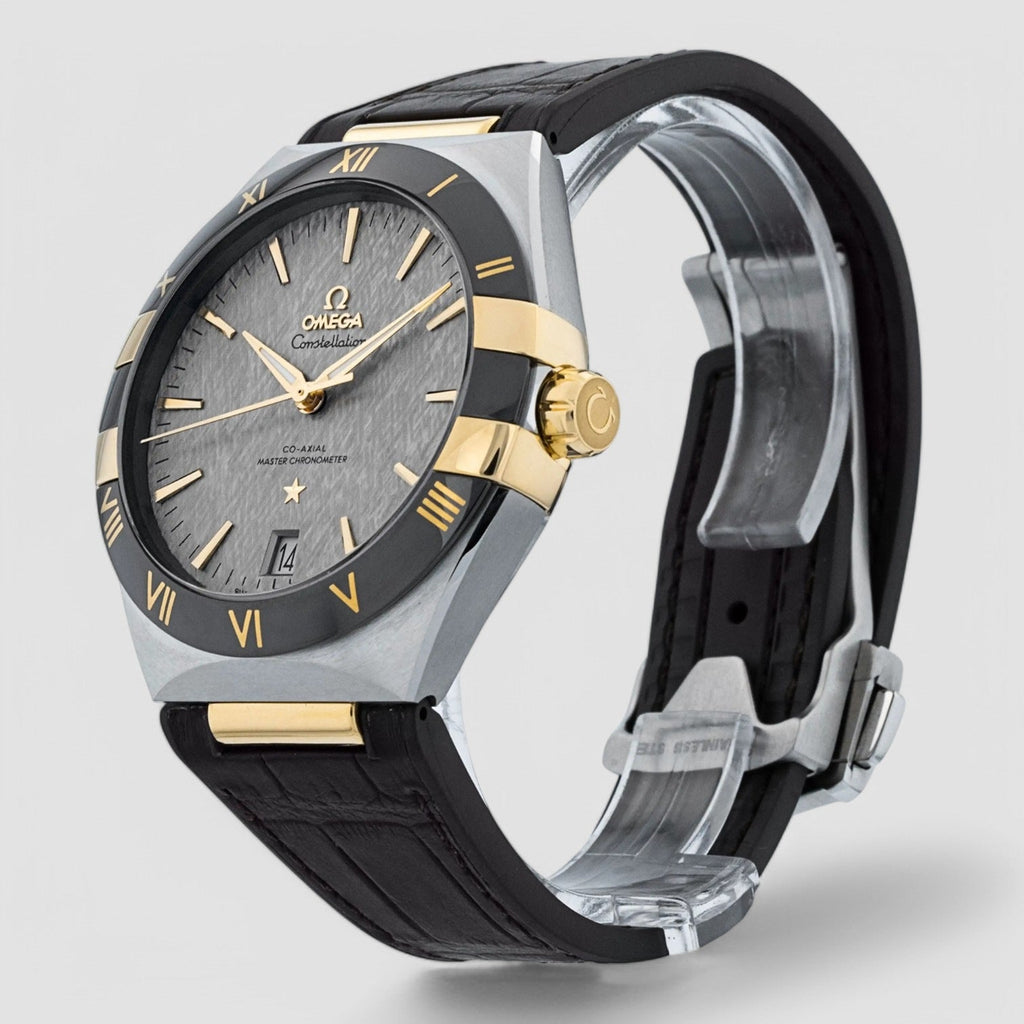 Omega 131.23.41.21.06.002