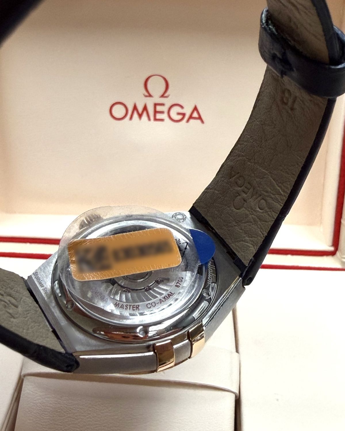 Omega 131.28.29.20.99.003
