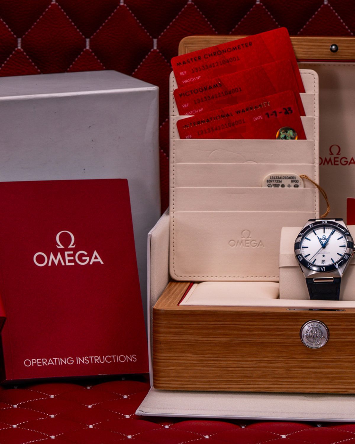 Omega 131.33.41.21.04.001