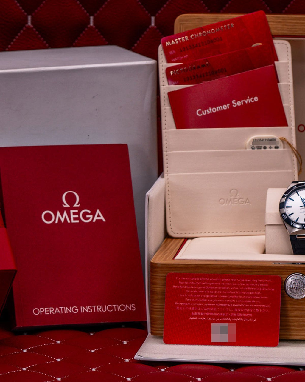 Omega 131.33.41.21.04.001