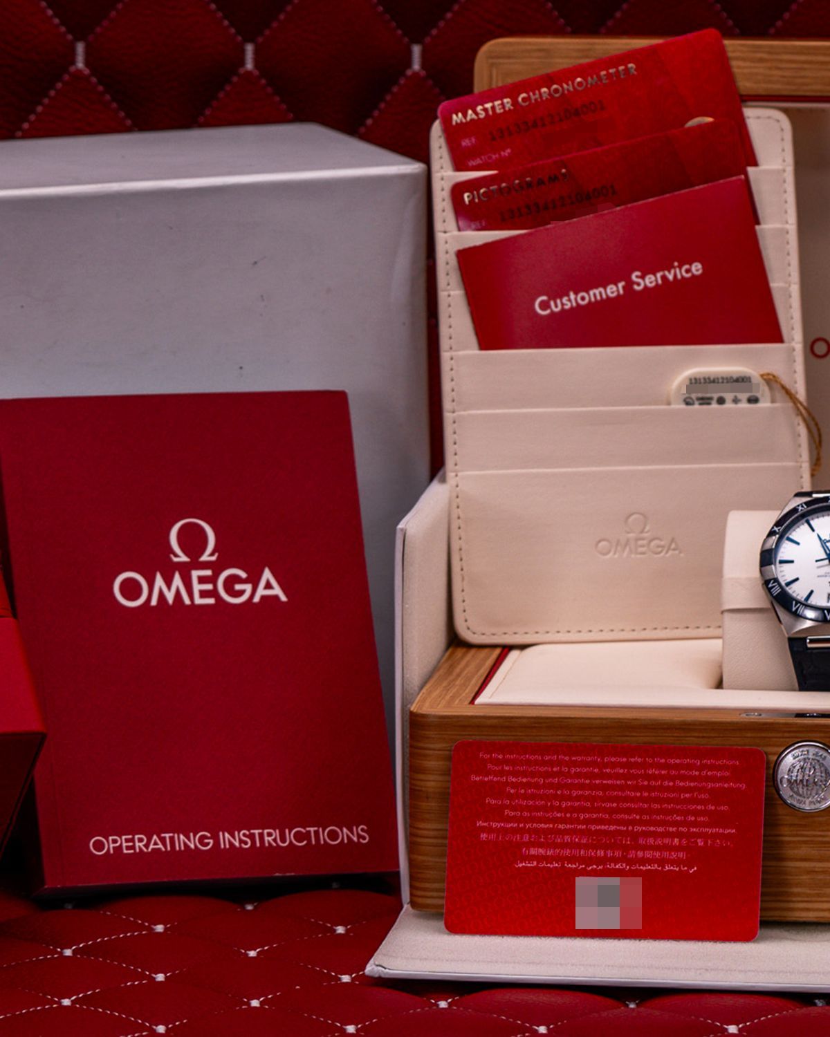 Omega 131.33.41.21.04.001