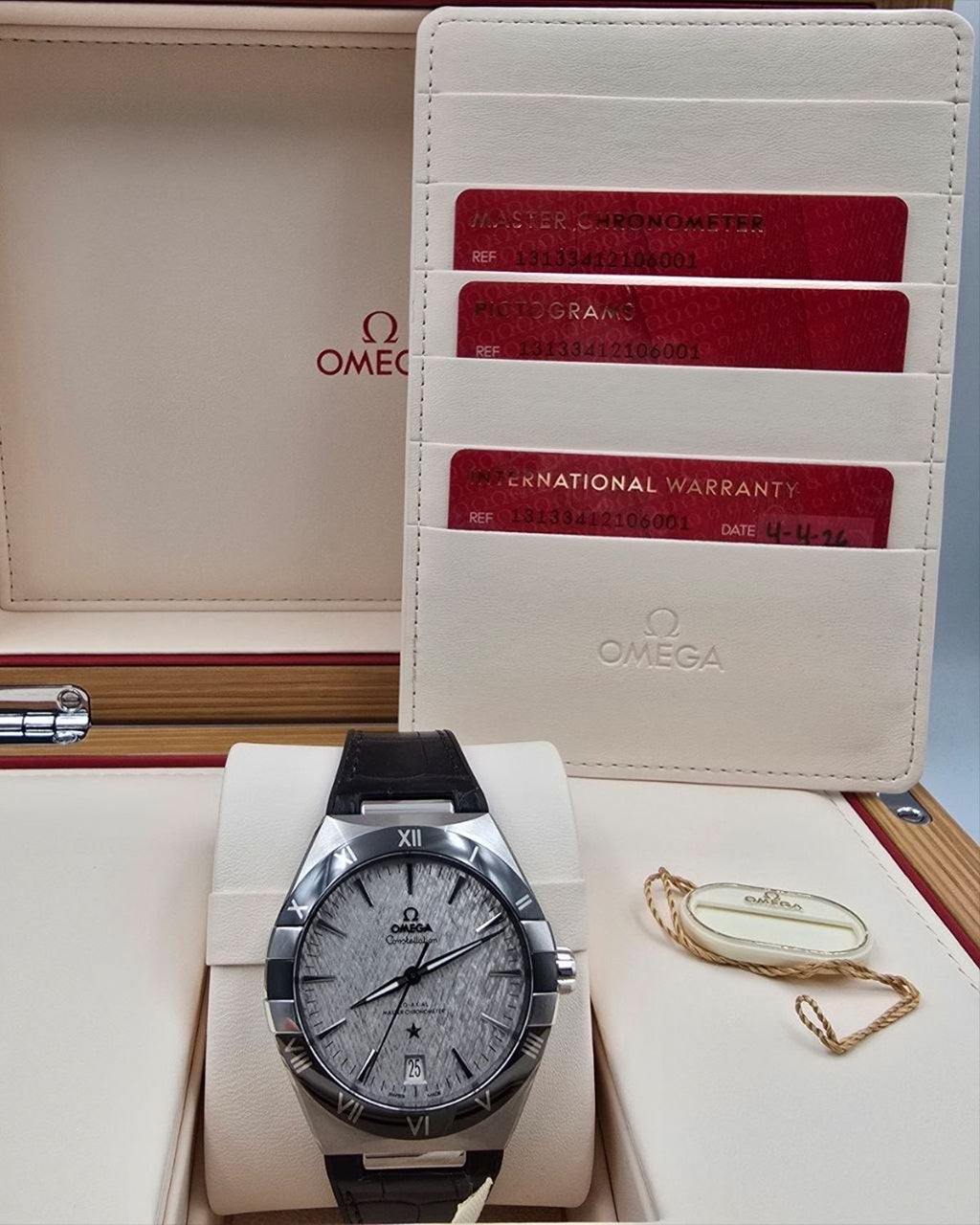Omega 131.33.41.21.06.001