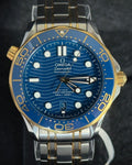 Omega 210.20.42.20.03.001
