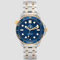 Omega 210.20.42.20.03.001
