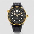 Omega 210.22.42.20.01.001