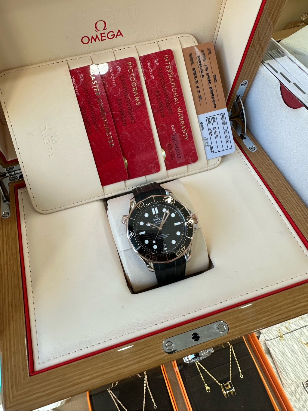 Omega 210.22.42.20.01.002