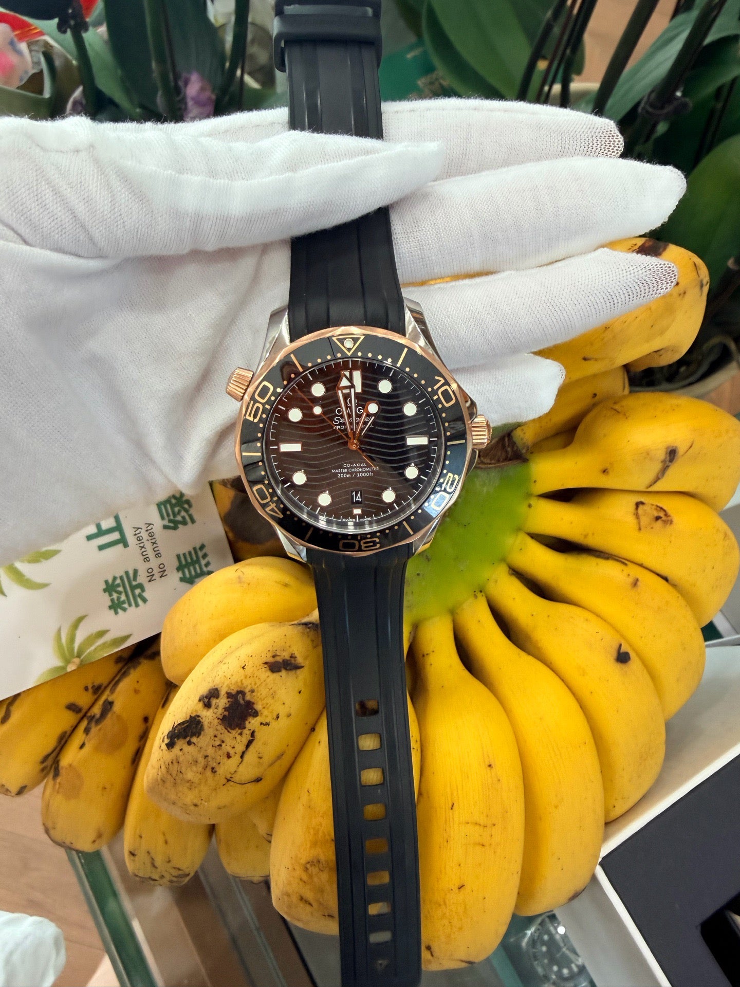 Omega 210.22.42.20.01.002