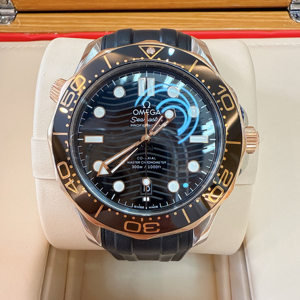 Omega 210.22.42.20.01.002