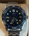 Omega 210.30.42.20.03.001
