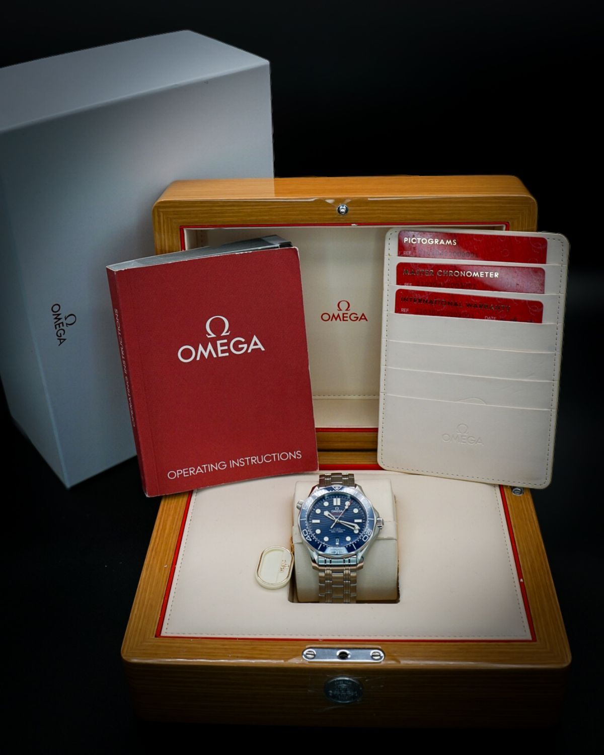 Omega 210.30.42.20.03.001
