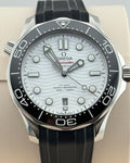 Omega 210.30.42.20.04.001