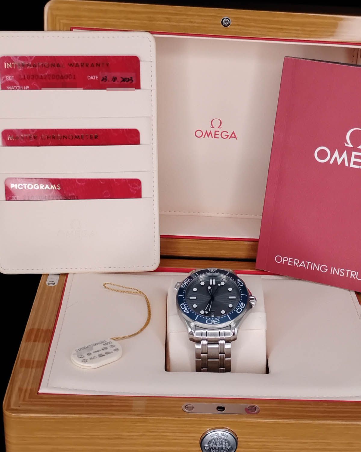 Omega 210.30.42.20.06.001