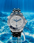 Omega 210.30.42.20.06.001