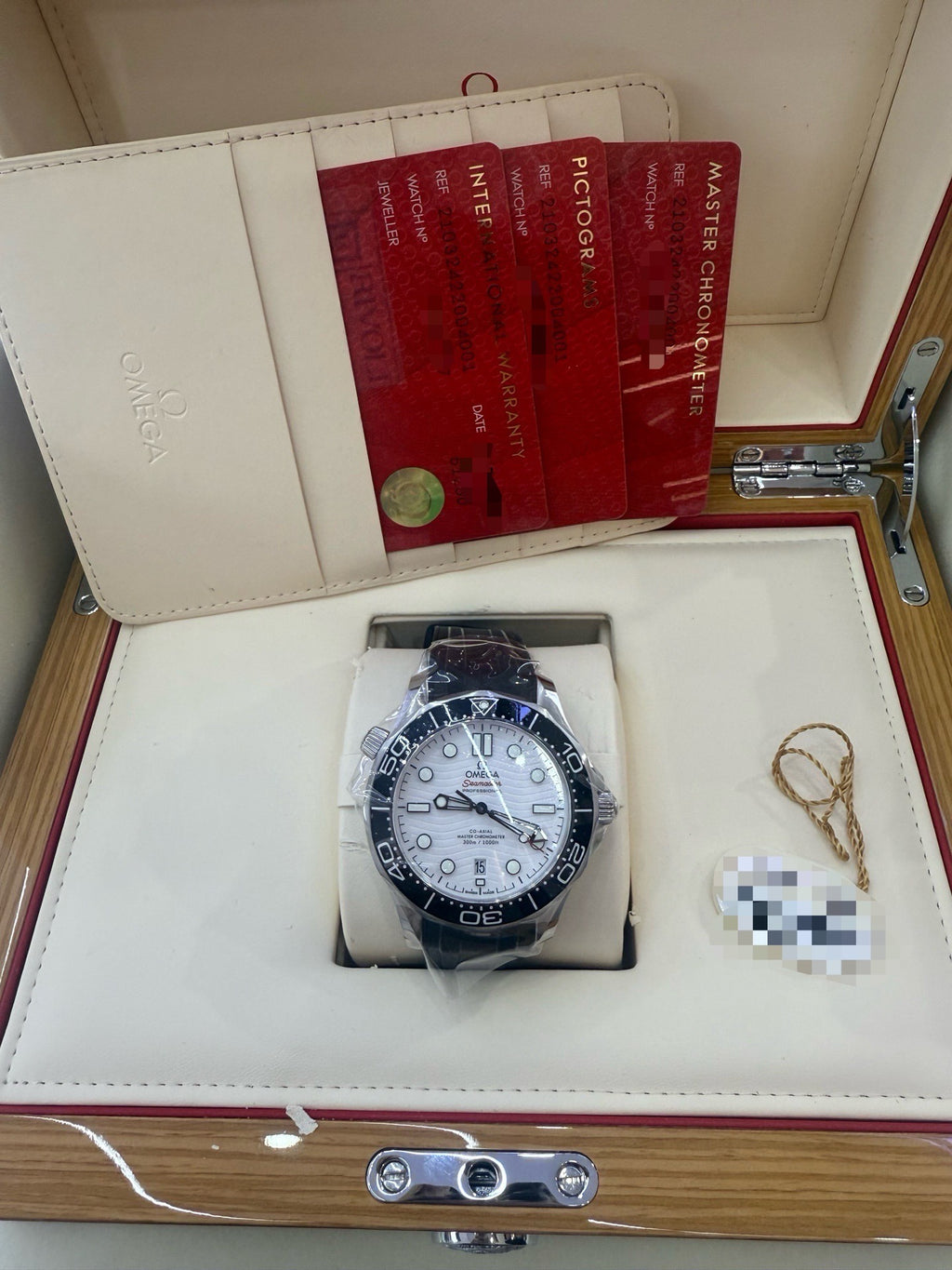 Omega 210.32.42.20.04.001