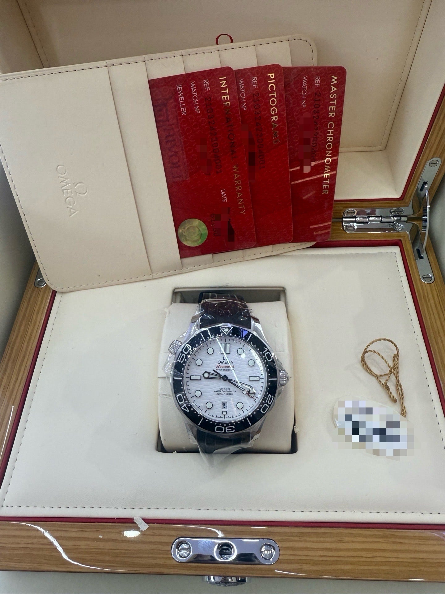 Omega 210.32.42.20.04.001