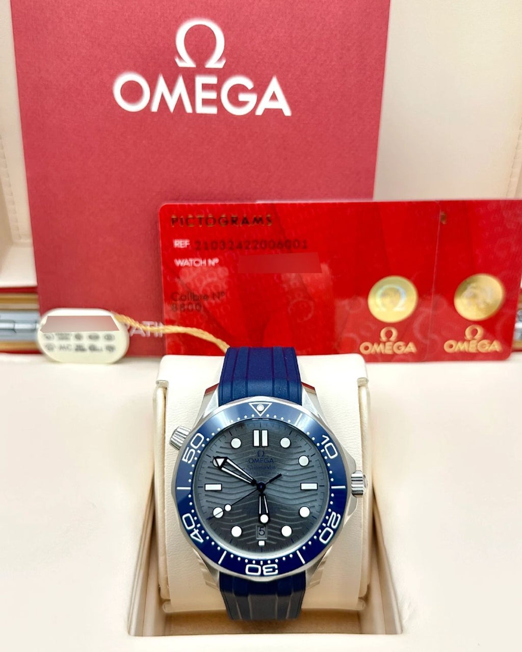 Omega 210.32.42.20.06.001