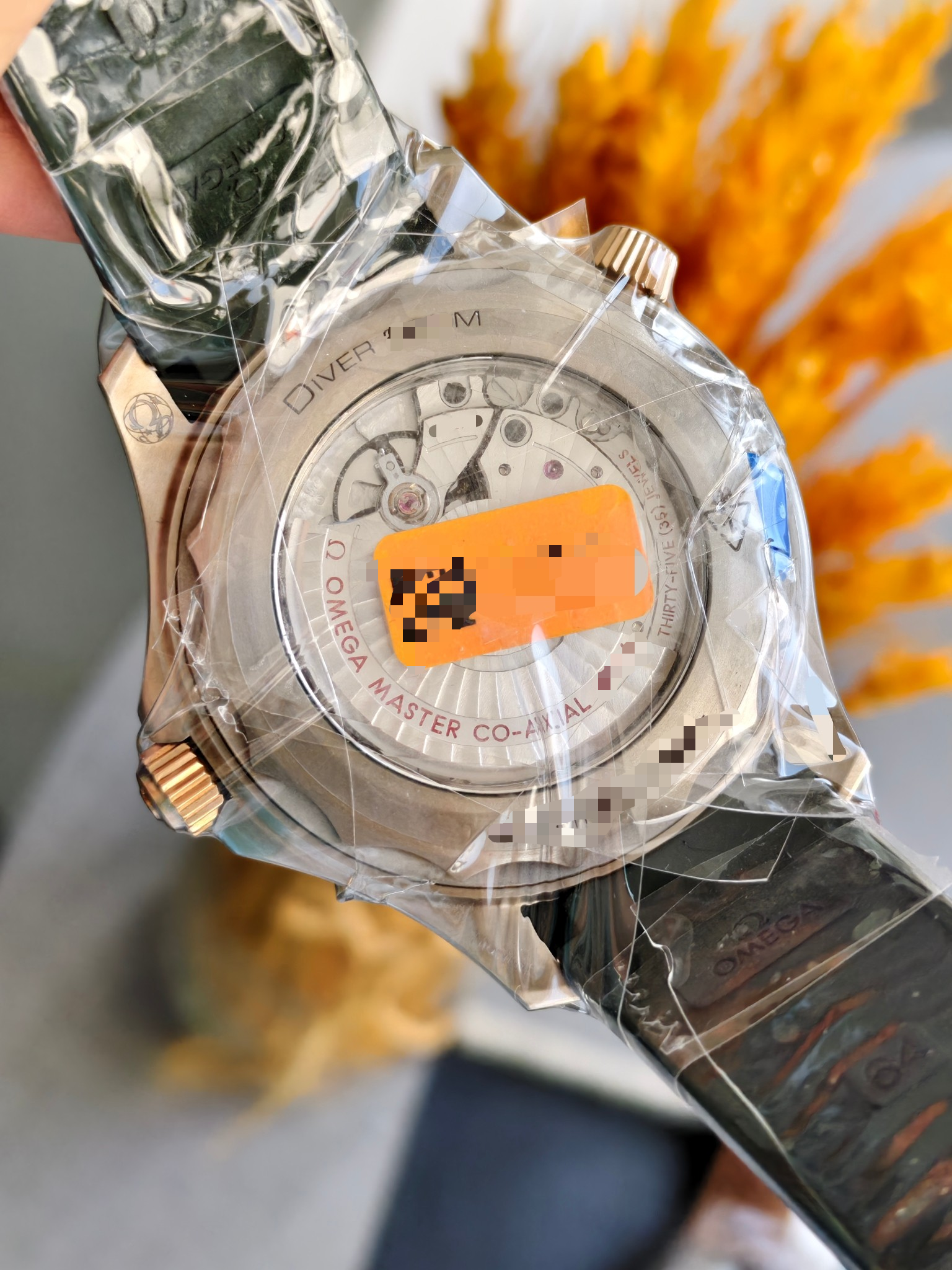 Omega 210.92.42.20.10.001