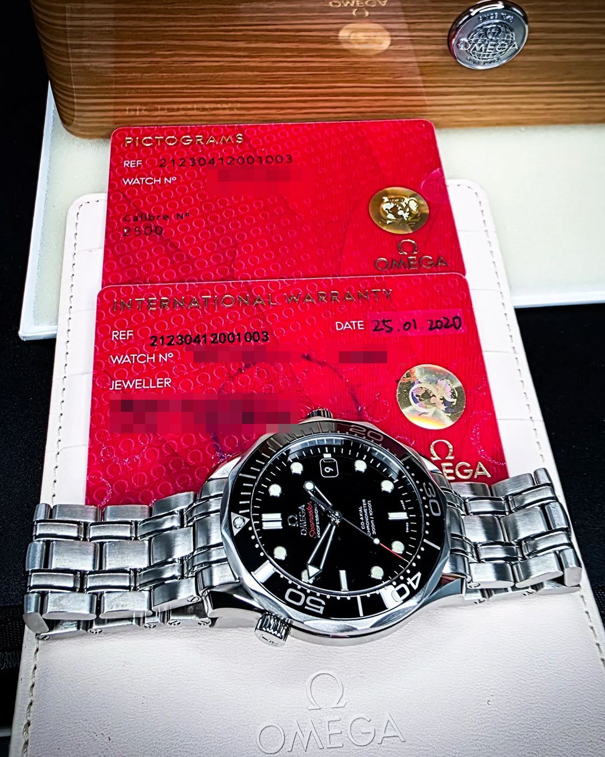 Omega 212.30.41.20.01.003