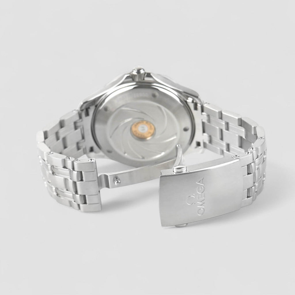Omega 212.30.41.20.01.005