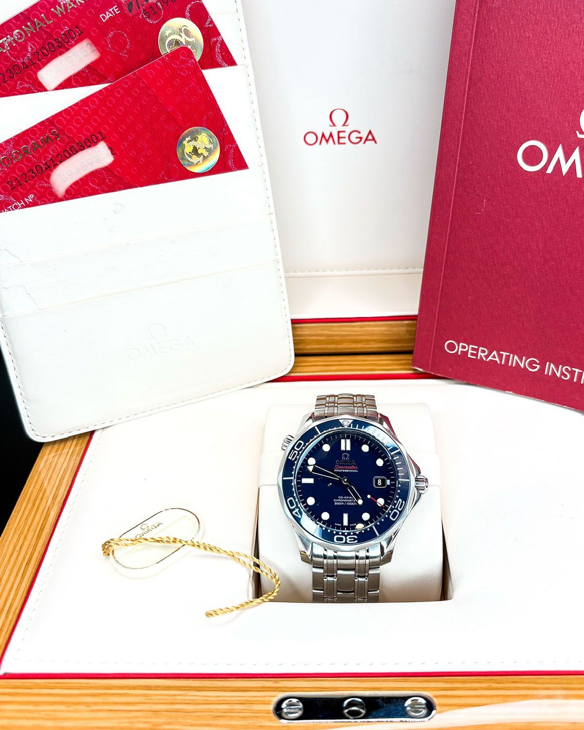 Omega 212.30.41.20.03.001