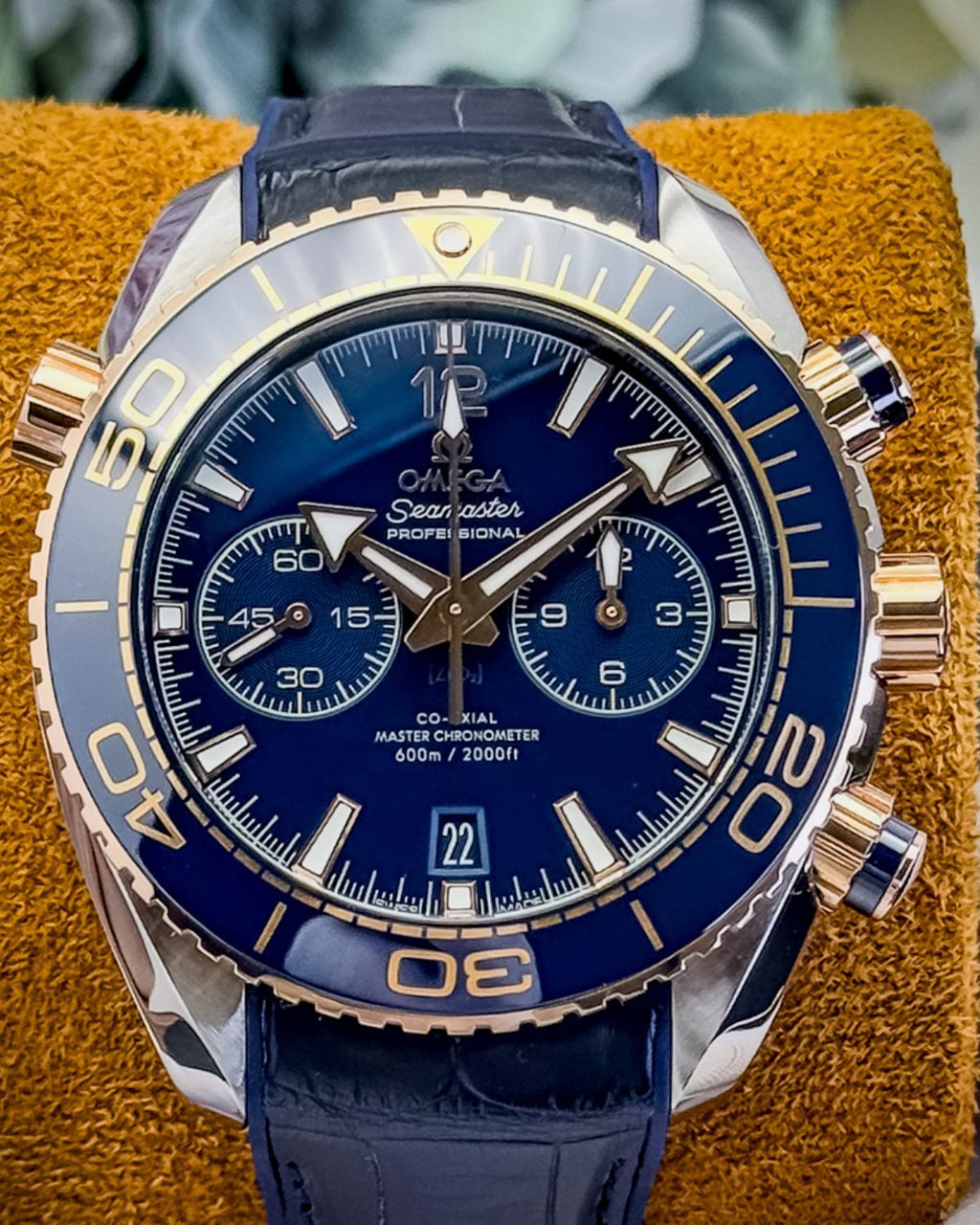 Omega 215.23.46.51.03.001
