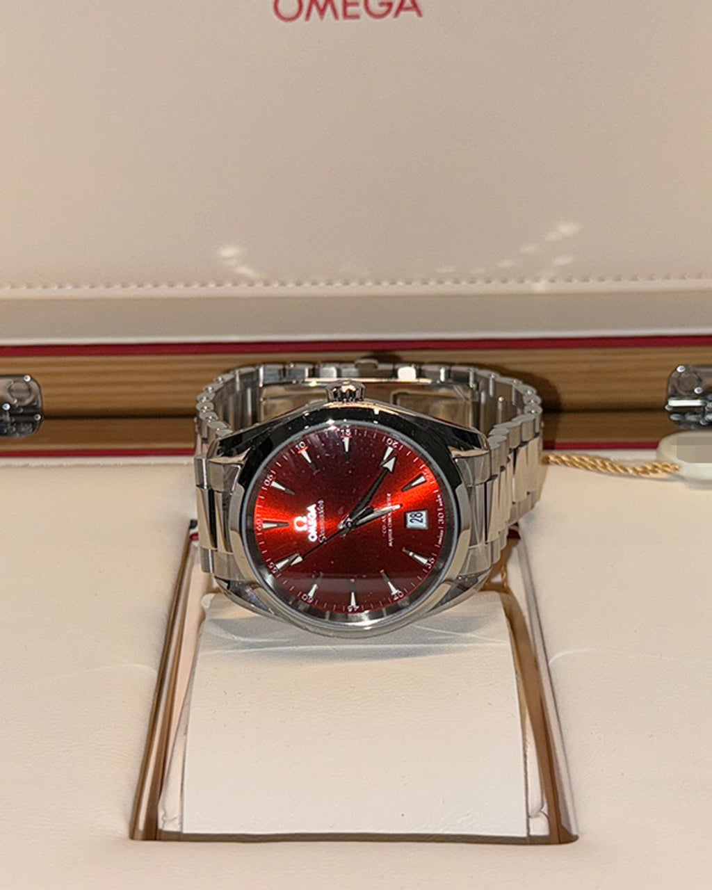 Omega 220.10.38.20.13.003
