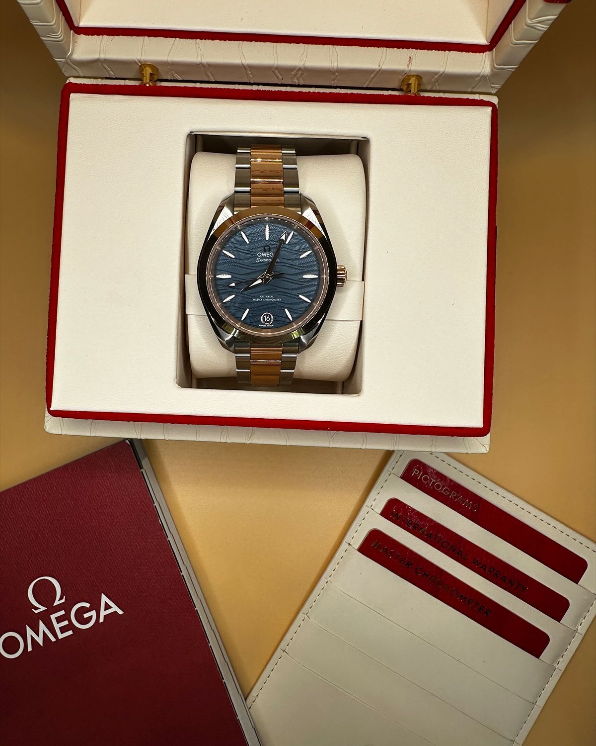 Omega 220.20.34.20.03.001