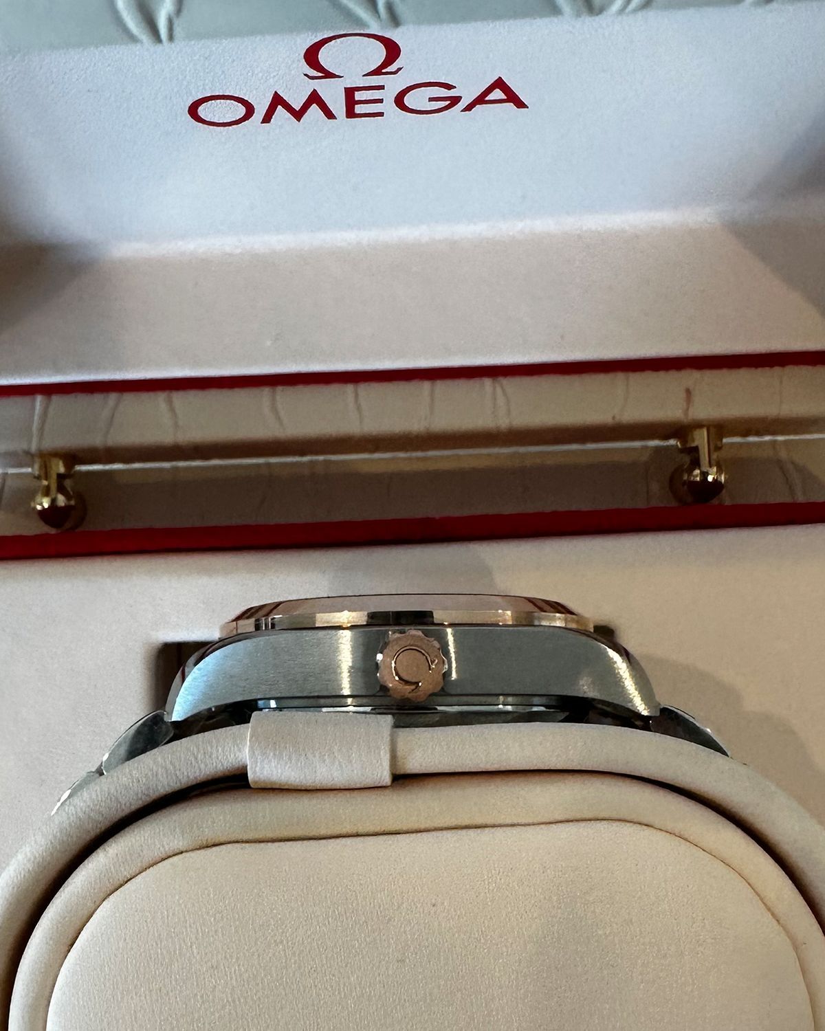 Omega 220.20.34.20.03.001