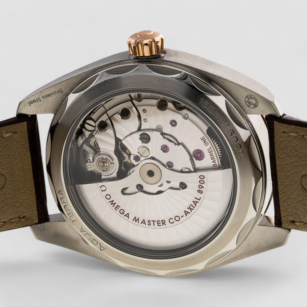Omega 220.23.41.21.02.001