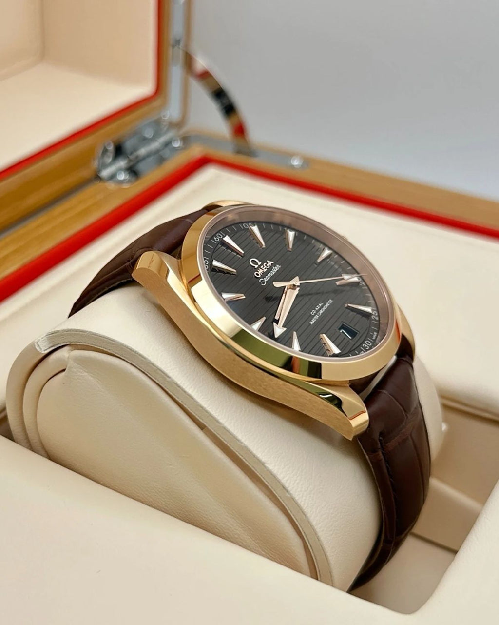Omega 220.53.41.21.13.001