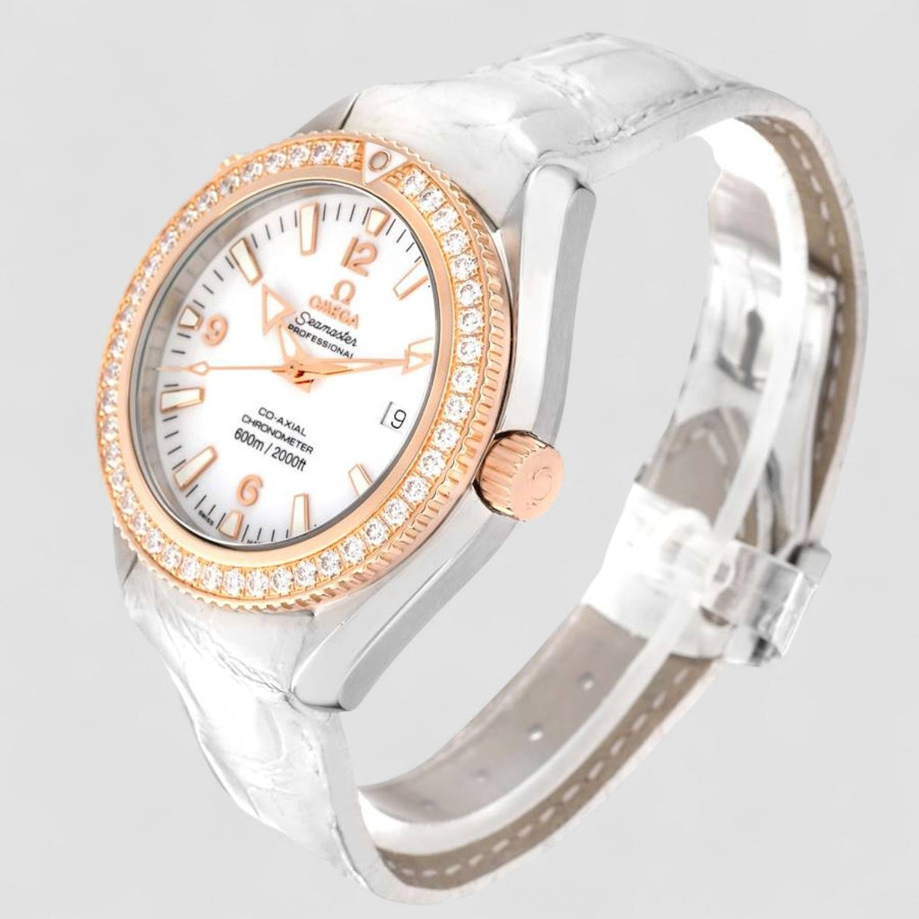 Omega 222.28.42.20.04.001