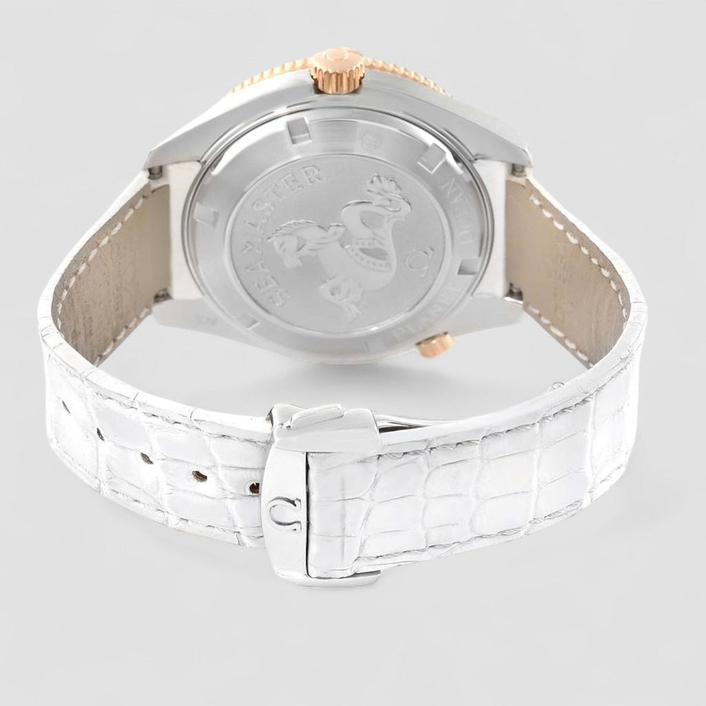 Omega 222.28.42.20.04.001