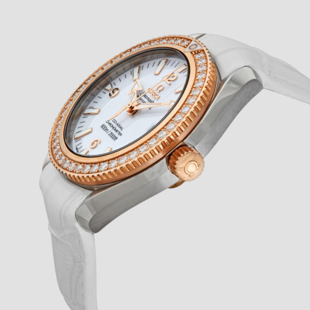 Omega 222.28.42.20.04.001