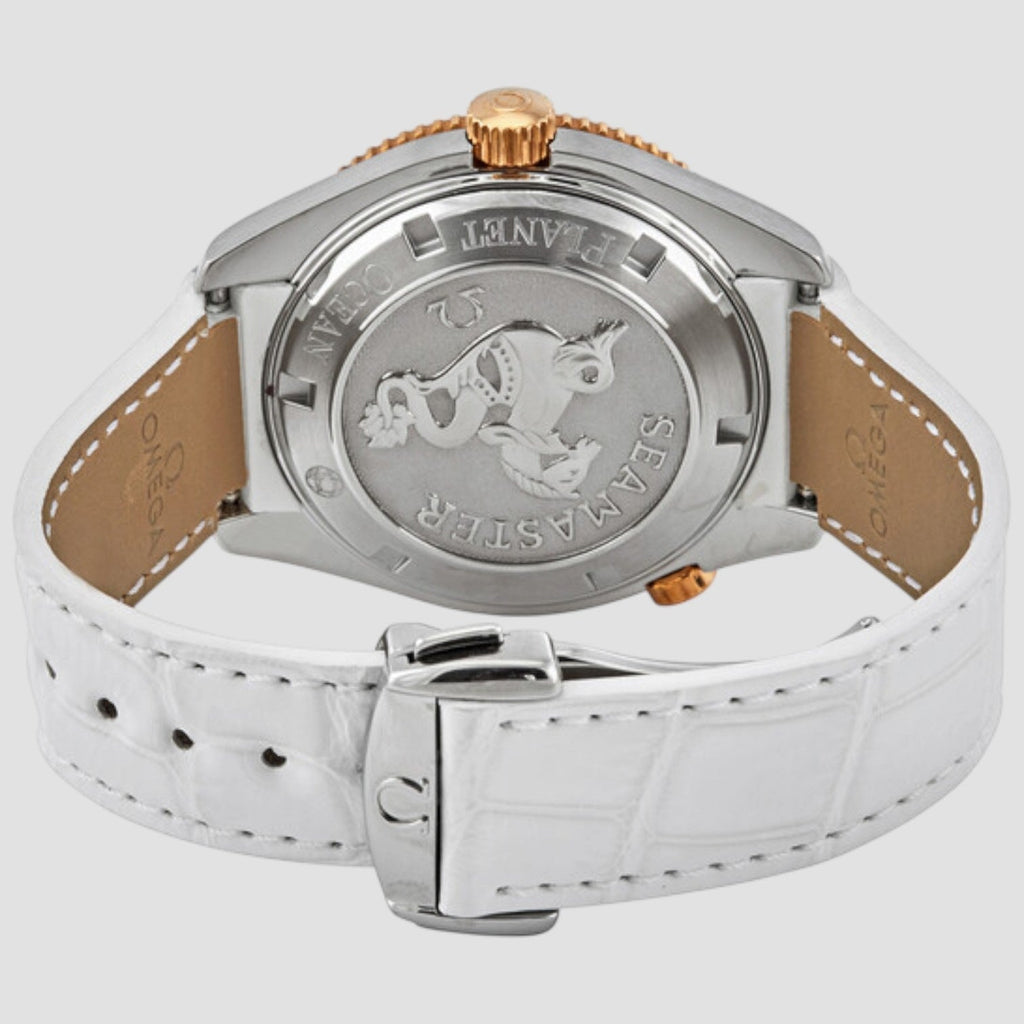 Omega 222.28.42.20.04.001