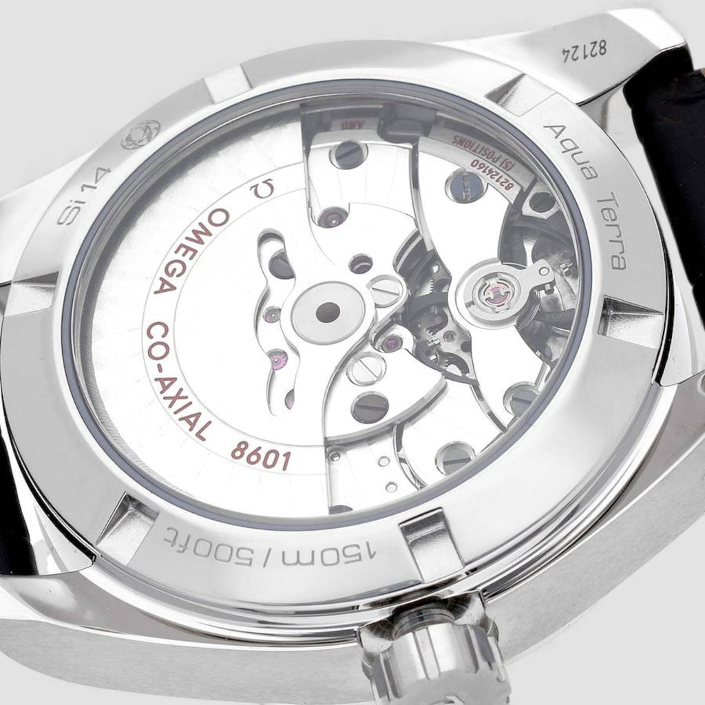 Omega 231.13.39.22.02.001