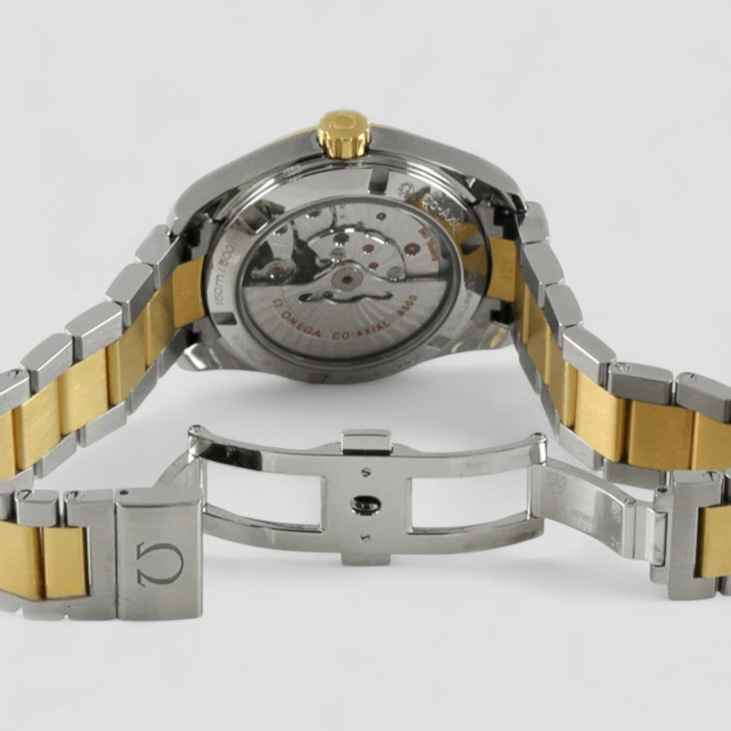 Omega 231.20.39.21.06.002