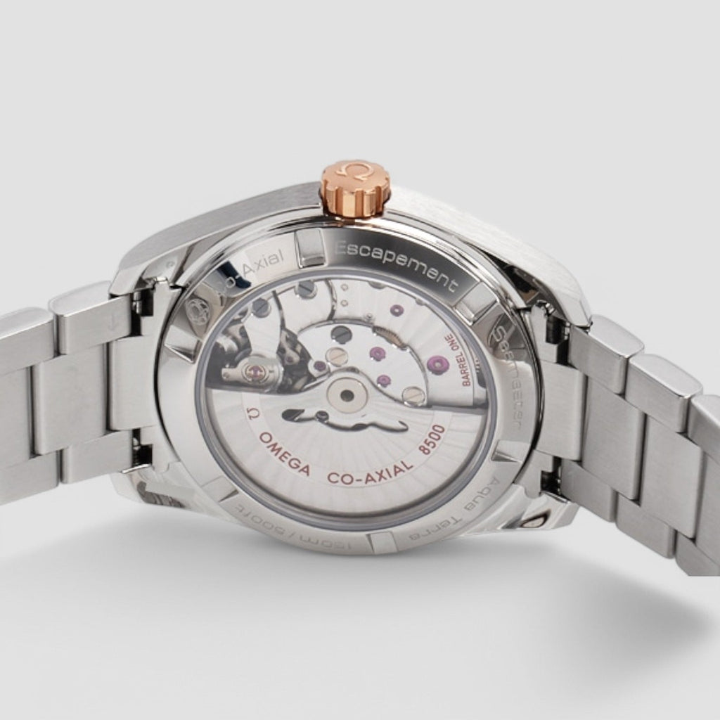 Omega 231.20.39.21.06.003