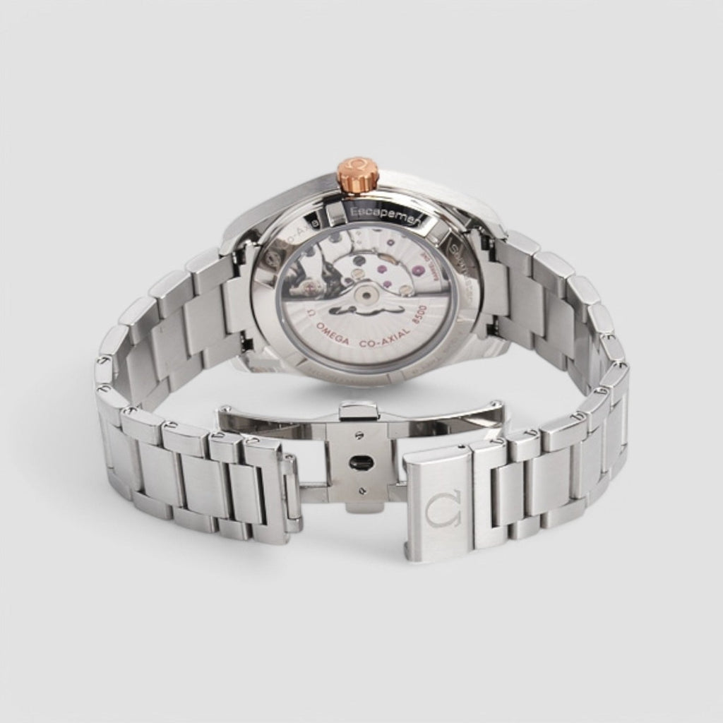Omega 231.20.39.21.06.003