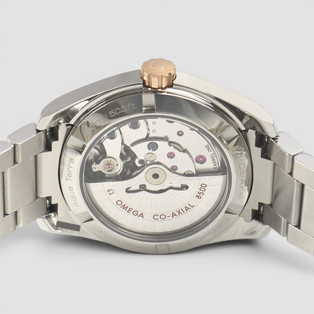 Omega 231.20.39.21.06.003