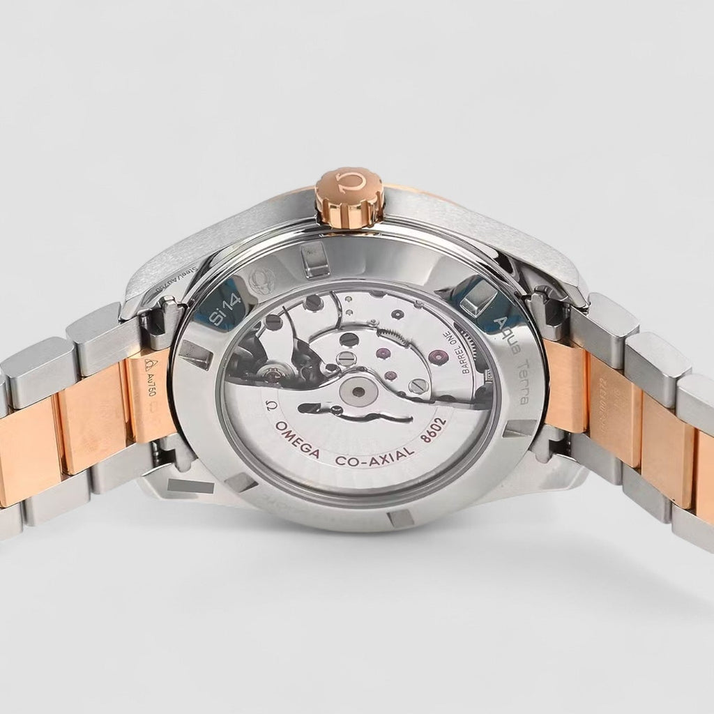 Omega 231.20.42.22.06.001