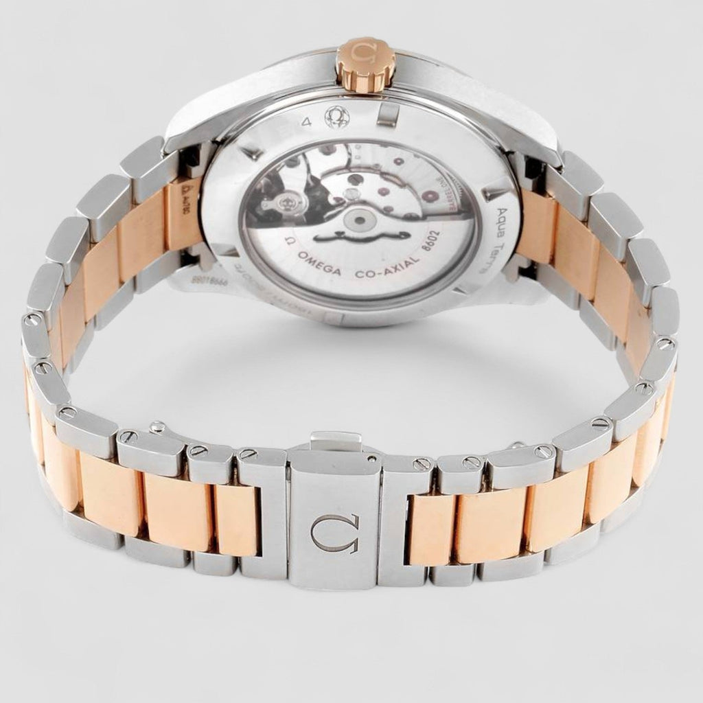 Omega 231.20.42.22.06.001