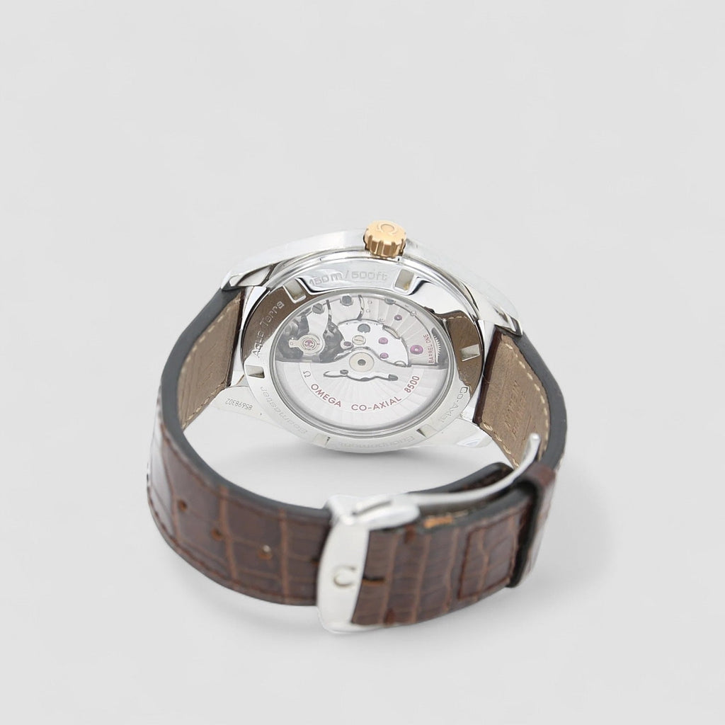 Omega 231.23.42.21.06.001