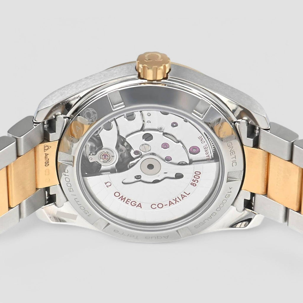 Omega 231.25.39.21.55.002