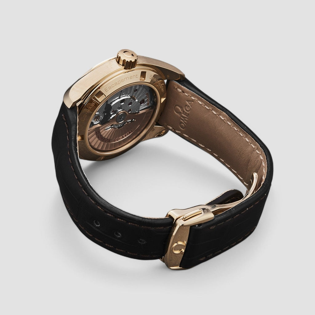 Omega 231.53.39.21.06.001