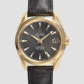Omega 231.53.39.21.06.002