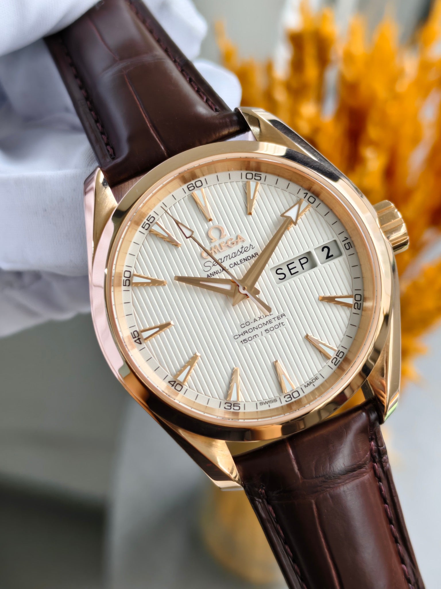 Omega 231.53.39.22.02.001