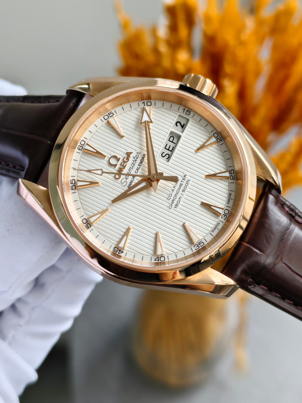 Omega 231.53.39.22.02.001